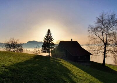 Vermietung Einfamilienhaus